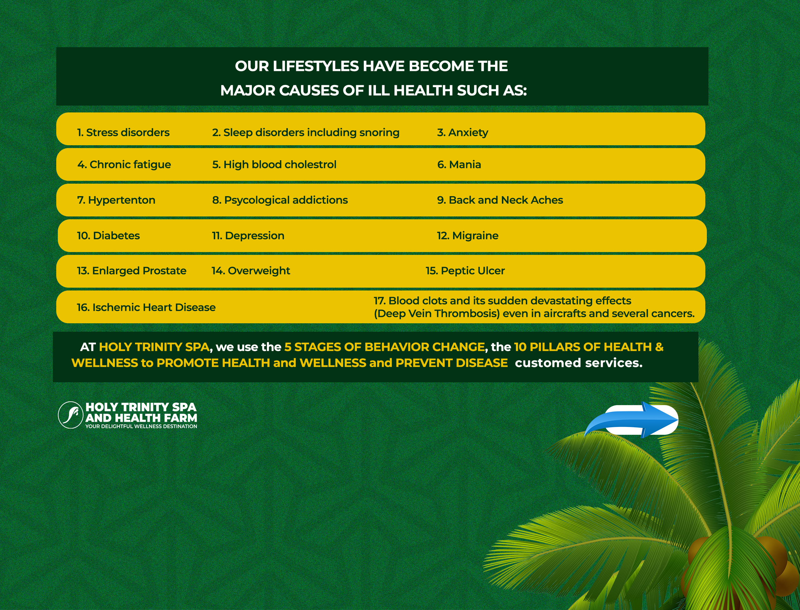 holy trinity spa - lifestyle illness and major causes